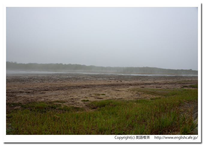 ナラワラ（野付半島）、ナラワラを見渡す、真ん中付近（北海道野付郡別海町）
