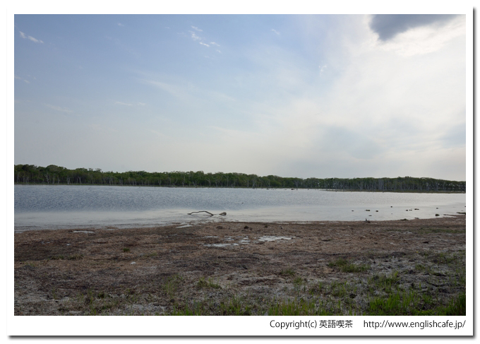 ナラワラ（晴天編）（野付半島）、ナラワラの右側を見渡す（北海道野付郡別海町）
