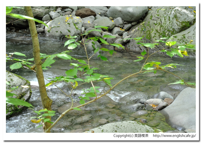 鳴神の滝、川へ降りたったところから（北海道岩内町）