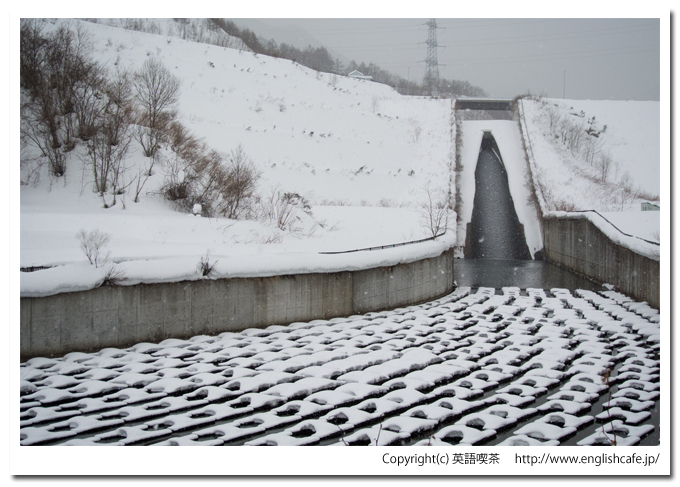 雪景色の濁川ダムの放水（北海道森町）