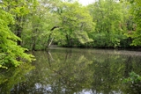 大岩園地（大沼国定公園）（北海道七飯町）