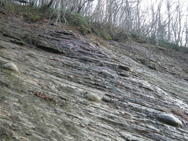 オオシュブンナイの滝の側の地層２