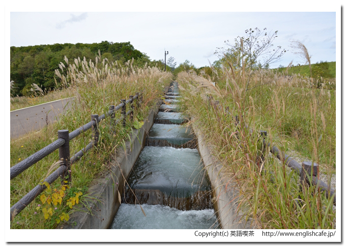 ピリカダム（２０１３秋の魚道）、ピリカダムの魚道（北海道今金町）