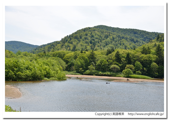ポンテシオダム、ポンテシオダムのダム湖奥の様子（北海道士別市）