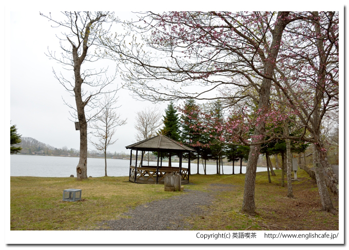 ポロト湖、ポロト湖の湖岸にある東屋（北海道白老町）