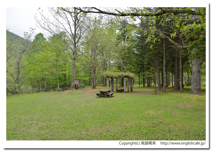 ぴょうたんの滝、ぴょうたんの滝見橋へ降りるところから（北海道中札内村）