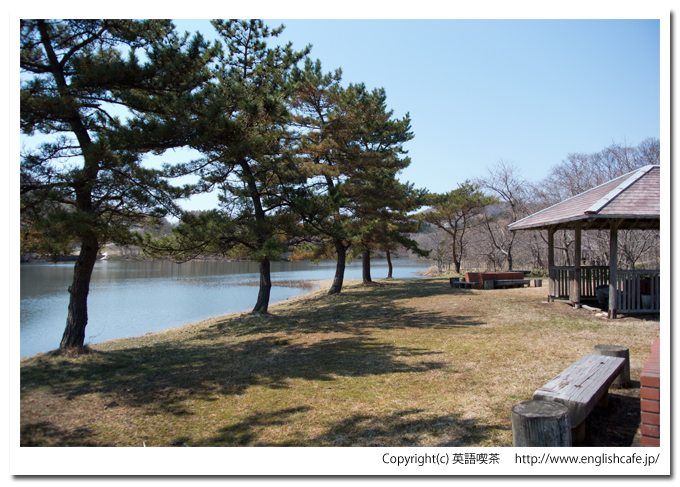 逆川ダムの森林公園（北海道檜山郡江差町）
