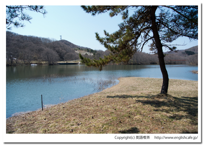 逆川ダムの森林公園（北海道檜山郡江差町）