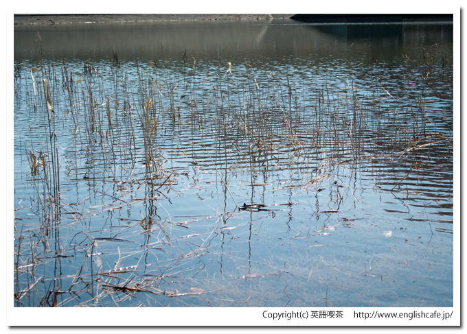 逆川ダムのダム湖とダム堤体（北海道檜山郡江差町）