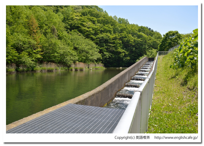 様似ダム（北海道様似郡様似町）、川辺の様似ダム魚道
