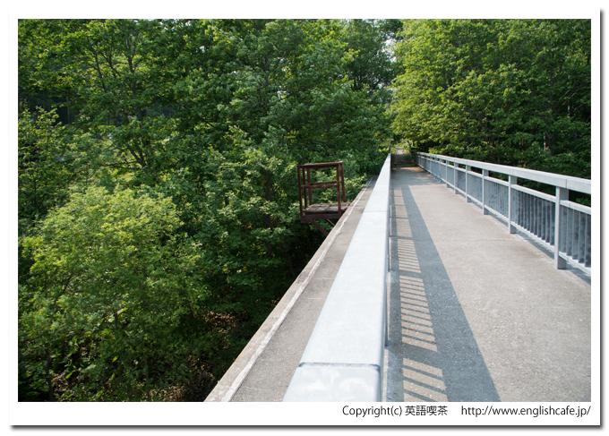 三の沢橋梁、橋梁の上から（北海道上士幌町）