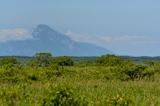サロベツ湿原（北海道天塩郡幌延町）