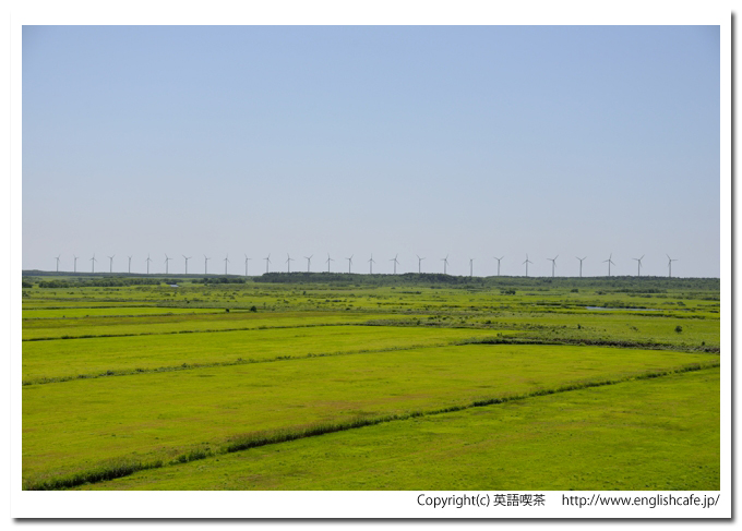 サロベツ湿原、サロベツ湿原を展望台から見たところ、連なる風車群（北海道天塩郡幌延町）