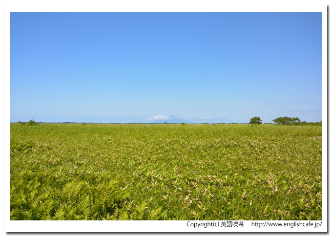 サロベツ湿原、サロベツ湿原を歩く、開けたところの原野風景と利尻山（北海道天塩郡幌延町）