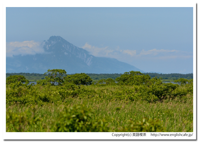 サロベツ湿原、サロベツ湿原を歩く、原野と利尻山の景色（北海道天塩郡幌延町）