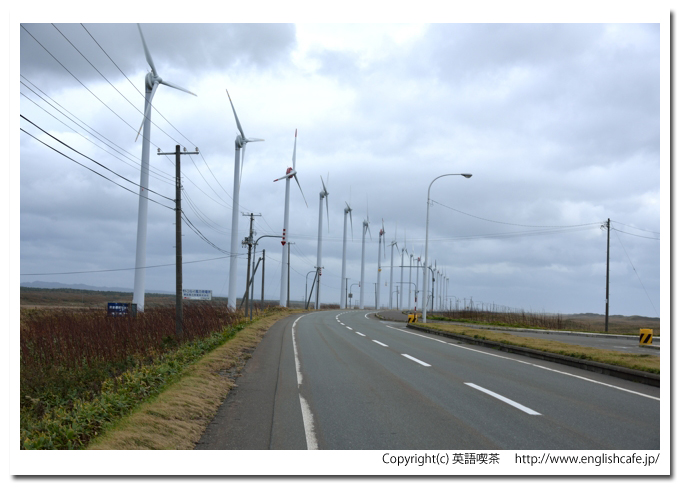 サロベツ原野駐車公園、立ち並ぶサロベツ原野駐車公園の風車（北海道幌延町）