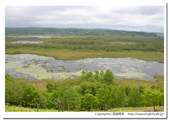 サルボ・サルルン展望台（釧路湿原国立公園）、サルルン展望台から見るサルルン沼（北海道川上郡標茶町）