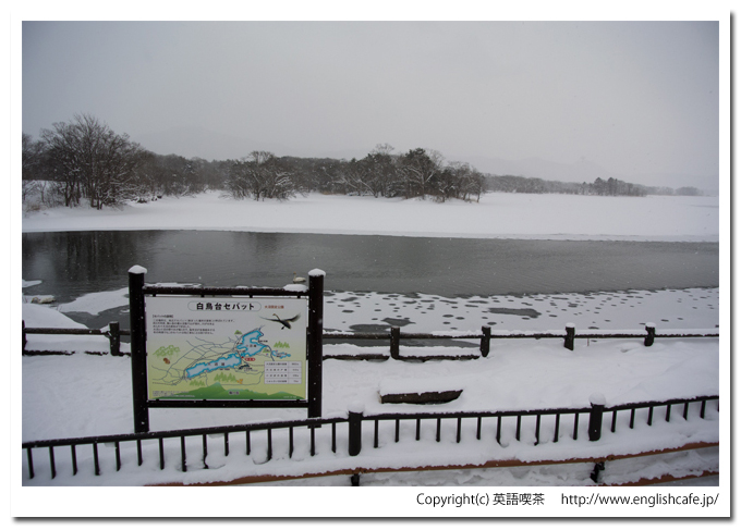 大沼国定公園の白鳥台セバット（北海道七飯町）