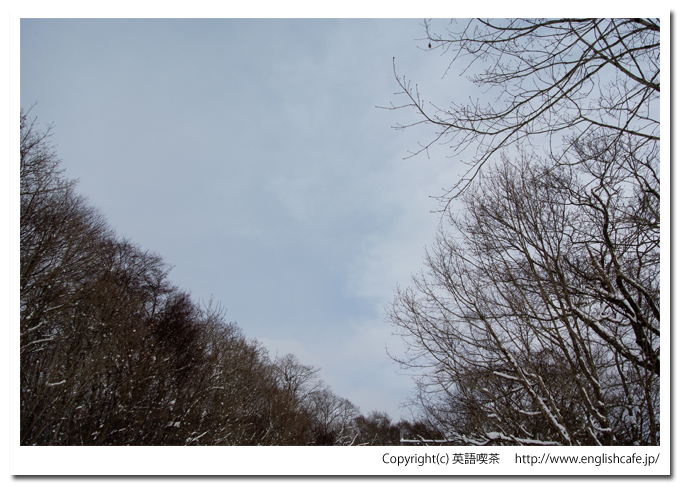 大沼国定公園の白鳥台セバット、大沼湖畔（北海道七飯町）