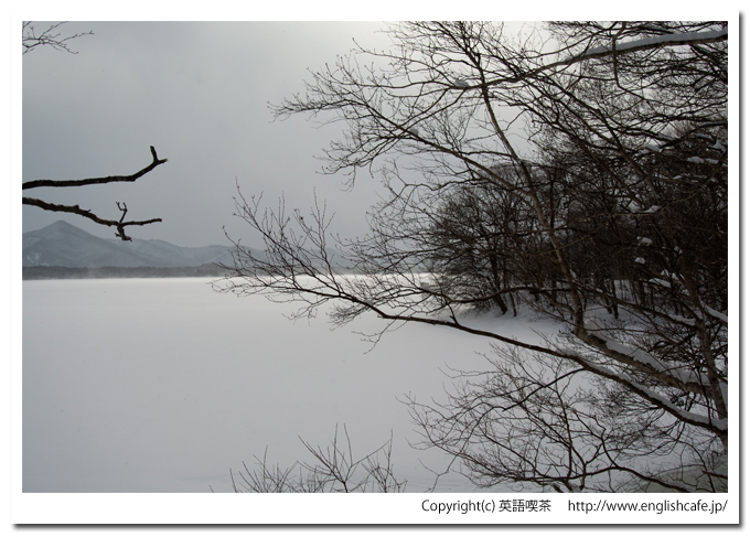 大沼国定公園の白鳥台セバット、凍った大沼（北海道七飯町）