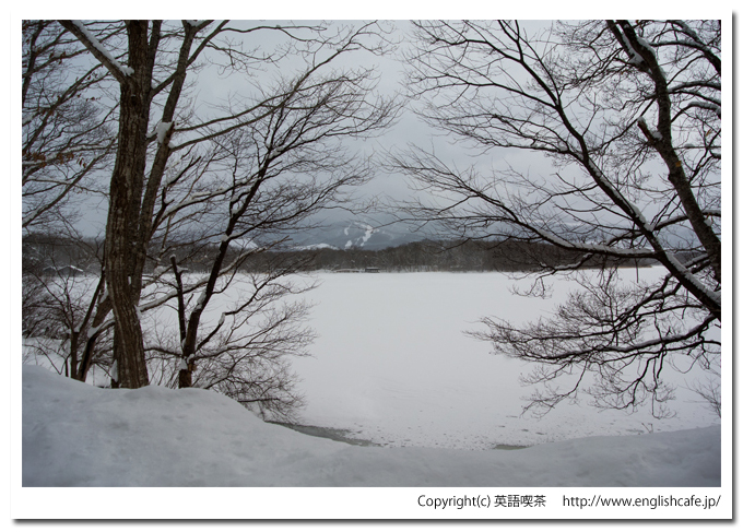 大沼国定公園の白鳥台セバット、凍った大沼（北海道七飯町）