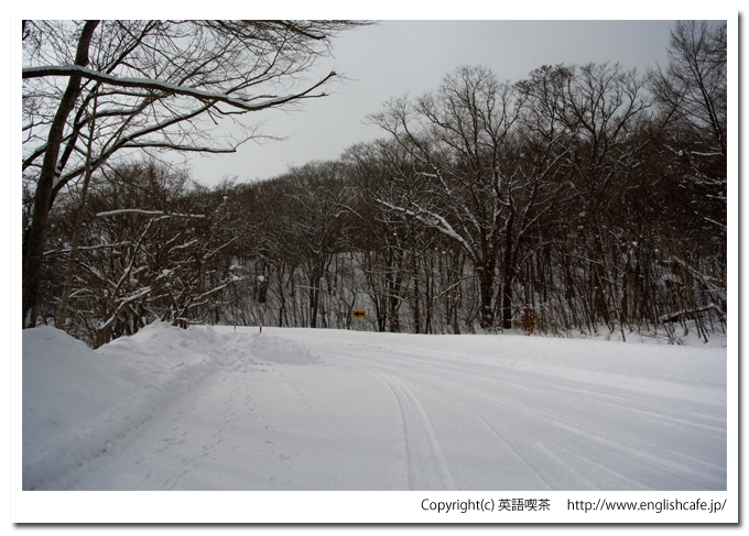 大沼国定公園の白鳥台セバットへ（北海道七飯町）