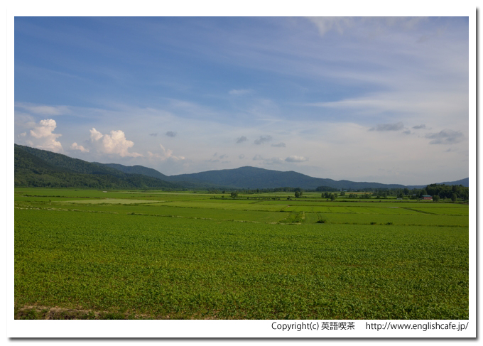 政和ビューポイント、政和ビューポイントから見るそば畑（北海道雨竜郡幌加内町）