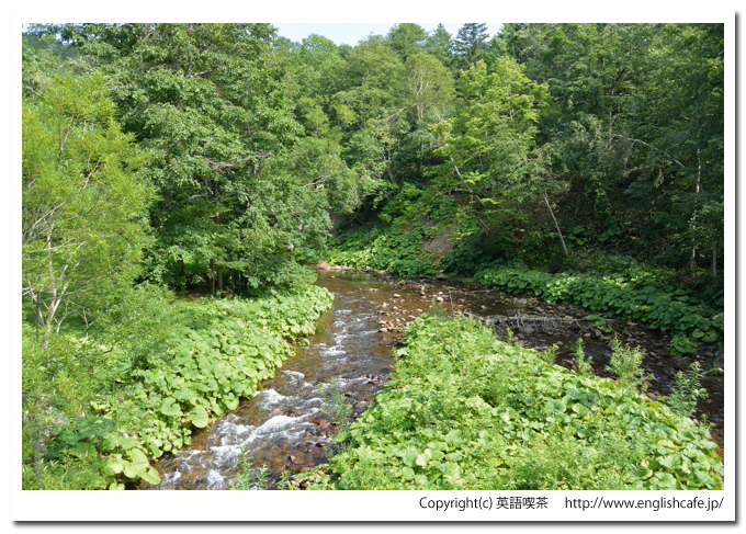 鹿の湯、然別峡野営場のそばを流れる渓流（北海道河東郡鹿追町）
