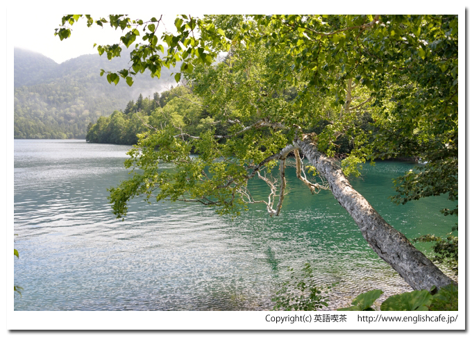 然別湖、然別湖展望場所からの湖（北海道河東郡鹿追町）
