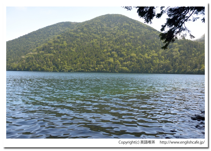 然別湖、天望山登山道からの湖面（北海道河東郡鹿追町）
