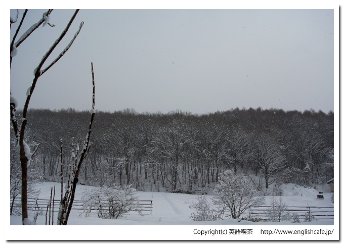 道南四季の杜、雪の細道から（北海道函館市）
