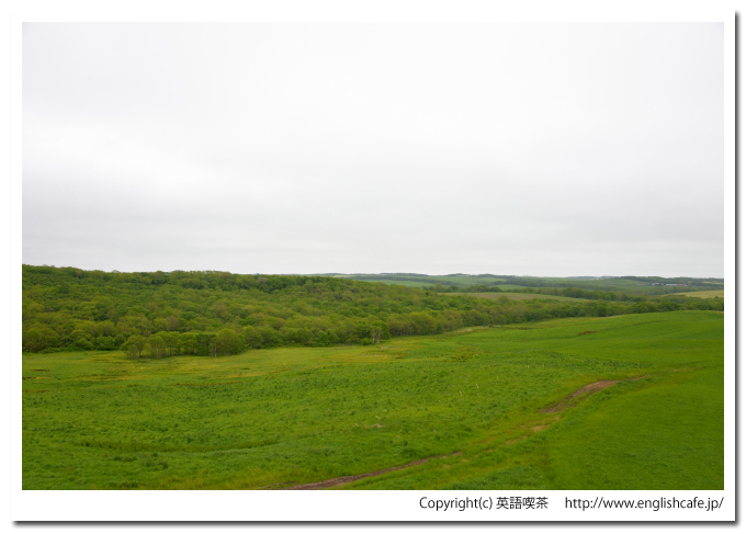 新酪農村展望台、展望台からの牧場を方角を変えて（北海道野付郡別海町）