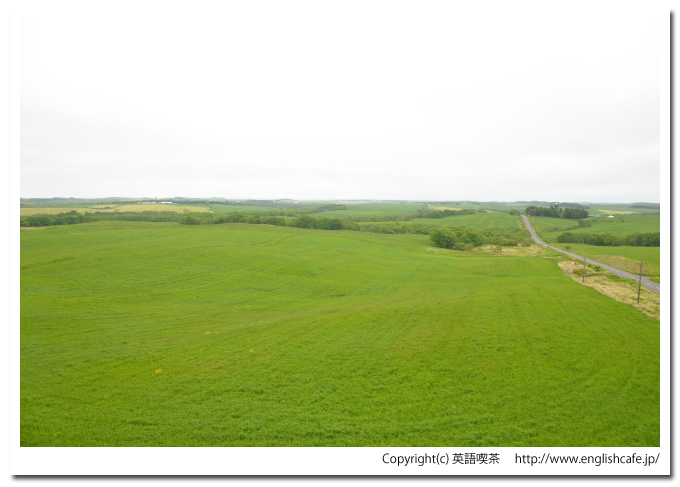 新酪農村展望台、展望台からの道路と牧場（北海道野付郡別海町）