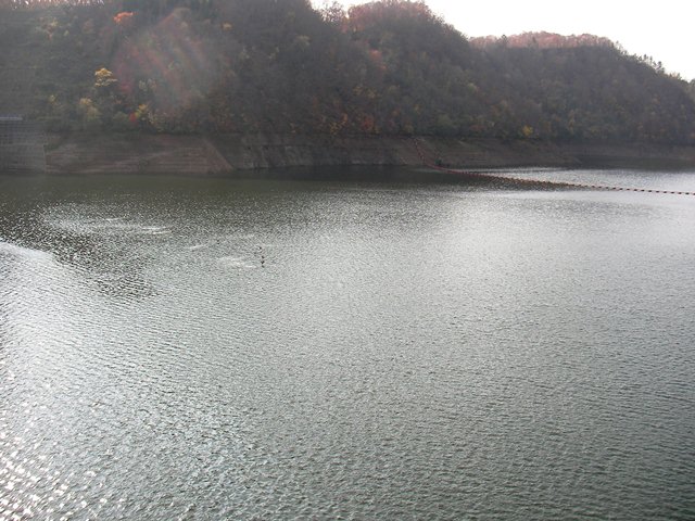知内ダムとダム湖と鳥（北海道上磯郡知内町）