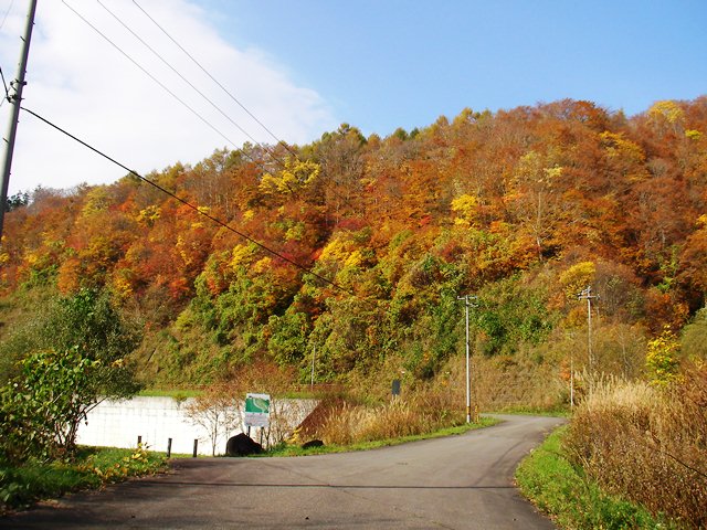 知内ダムとダムまでの紅葉（北海道上磯郡知内町）