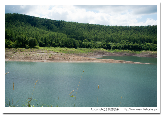 しろがねダム、ダム湖の風景（北海道美瑛町）