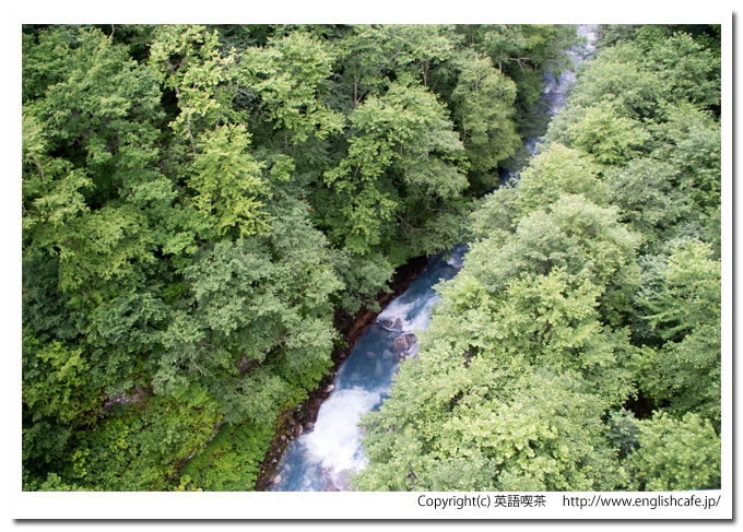 白ひげの滝、川の下流のほうへ（北海道美瑛町）