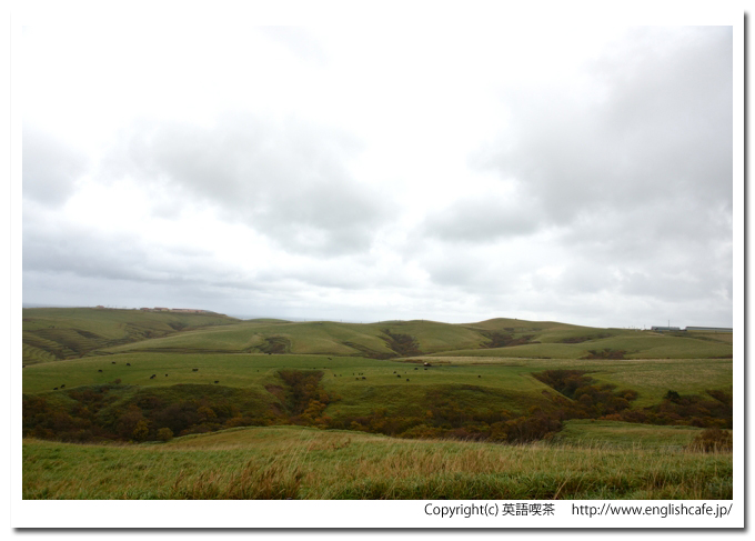 宗谷丘陵、宗谷丘陵の地形と牧場（北海道稚内市）