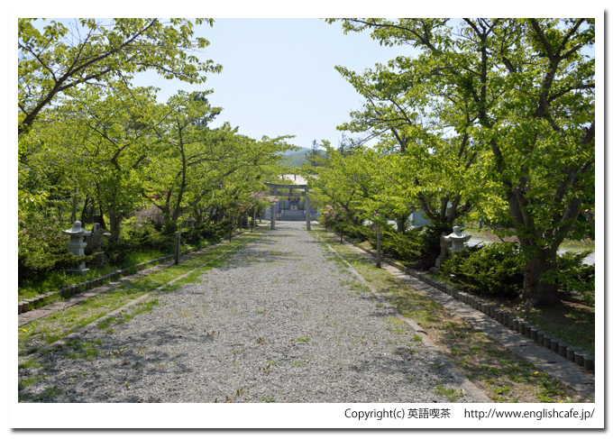 寿都神社、寿都神社の並木道（北海道寿都郡寿都町）