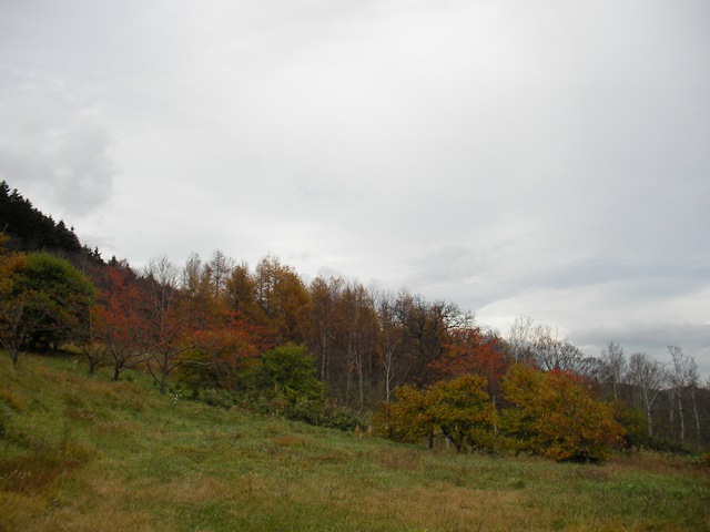 玉川公園の駐車場と紅葉２（北海道久遠郡せたな町）