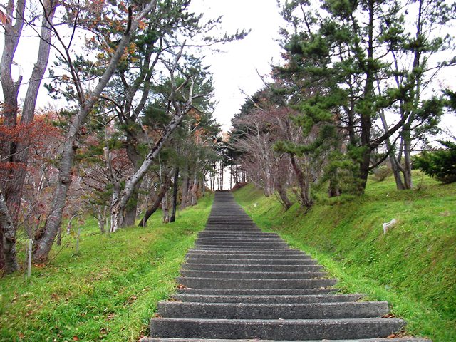 玉川公園のと玉川神社の階段の中腹から（北海道久遠郡せたな町）