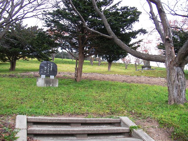 玉川公園のと水仙広場付近（北海道久遠郡せたな町）
