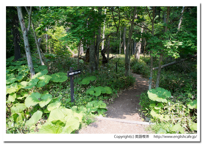 タウシュベツ橋梁、タウシュベツ展望台からの散策路入口（北海道上士幌町）