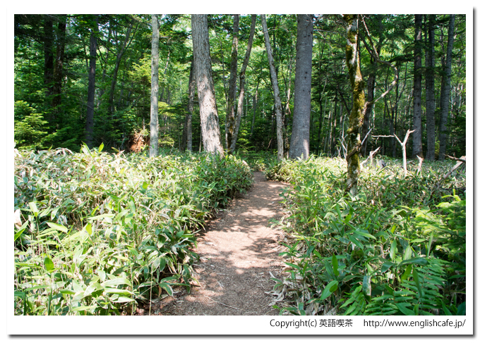 タウシュベツ橋梁、タウシュベツ展望台からの散策路案内板（北海道上士幌町）
