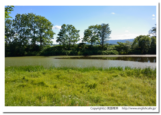 智恵文沼、智恵文沼の湖畔から（北海道名寄市）