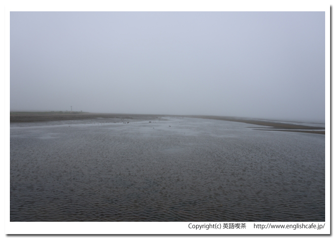 トドワラ（野付半島）、トドワラの先端付近（北海道野付郡別海町）