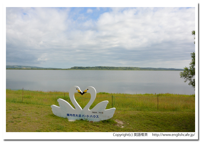 大沼、大沼バードハウスのそばから（北海道稚内市）