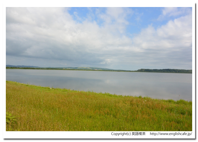 大沼、大沼の水面（北海道稚内市）