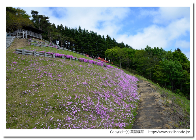 薬師山、薬師山と芝桜（北海道上磯郡木古内町）