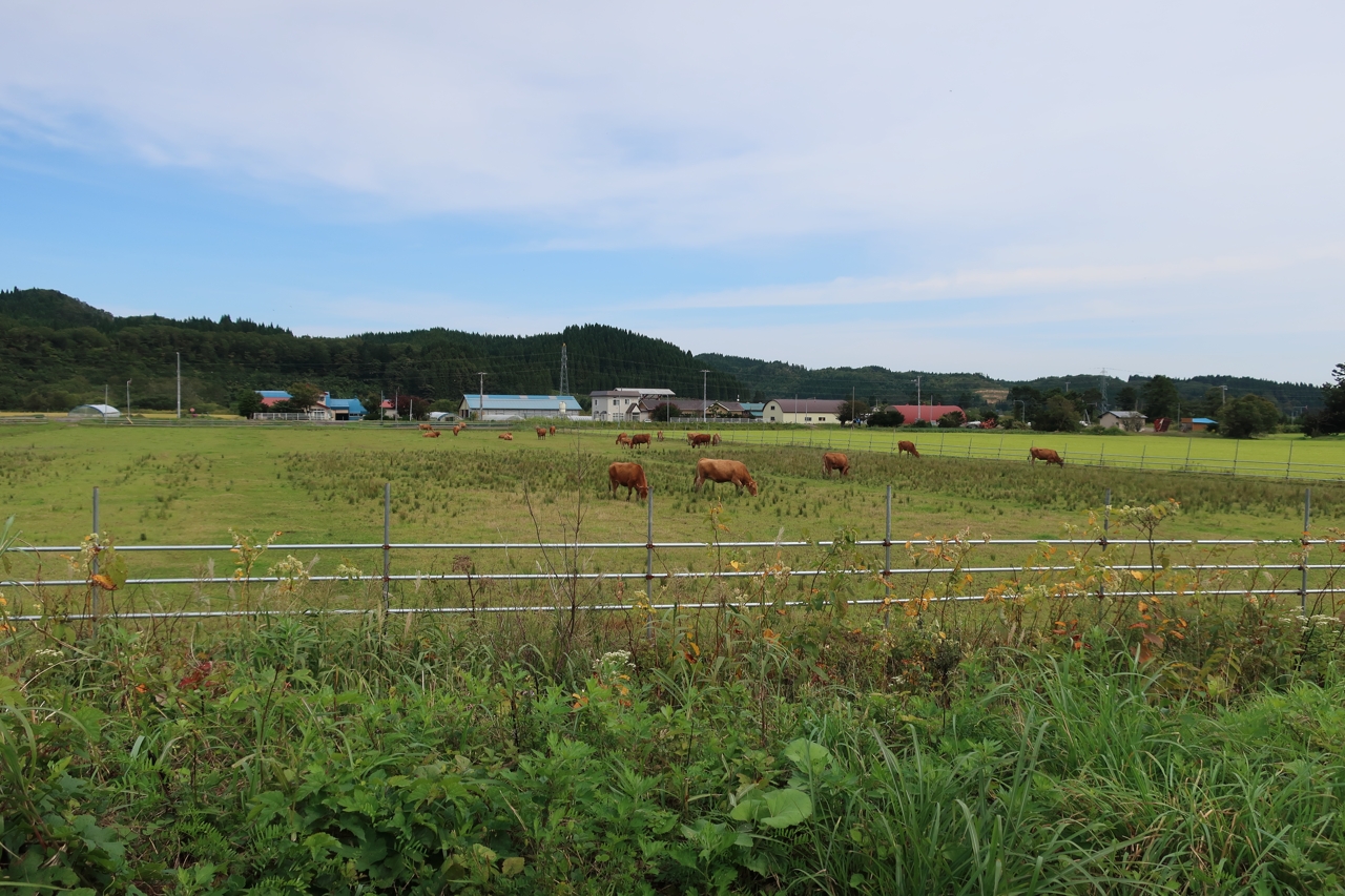 道南トロッコ鉄道